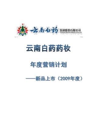 云南白药药妆产品年营销计划书