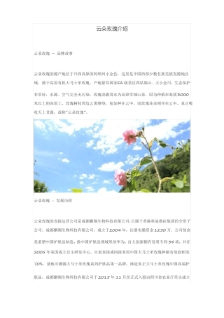 云朵玫瑰基本介绍