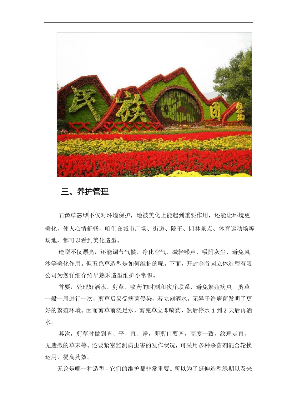 五色草雕塑工艺_第3页