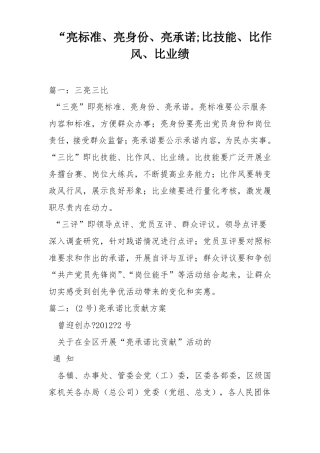 亮标准亮身份亮承诺;比技能比作风比业绩