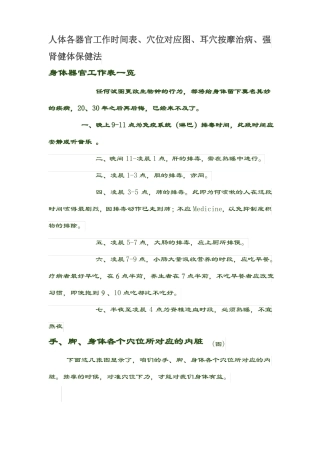 人体各器官工作时间表