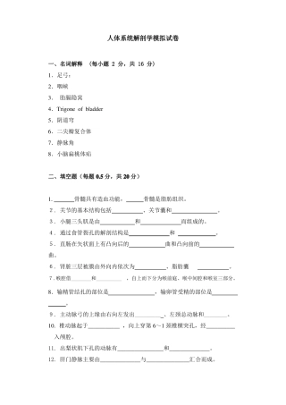 人体系统解剖学模拟试卷