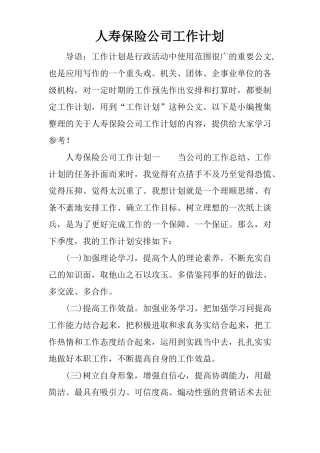 人寿保险公司工作计划