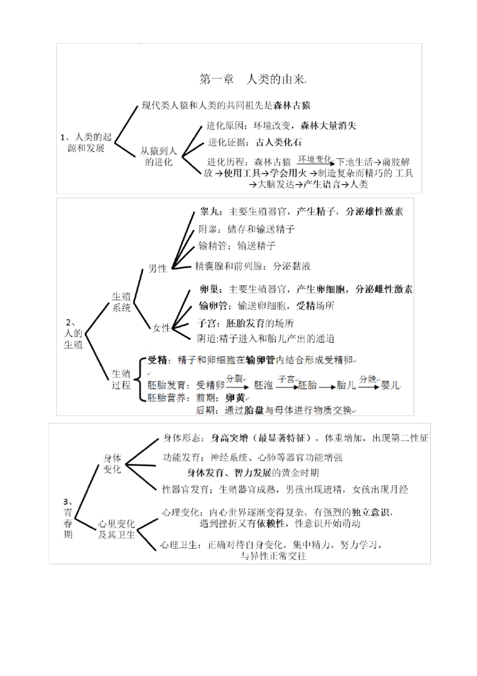 人教版七年级生物下册考点思维导图版_第1页