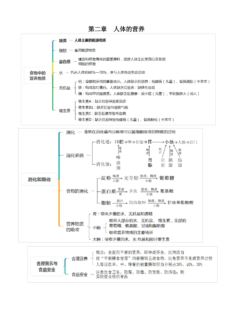 人教版七年级生物下册考点思维导图版_第2页