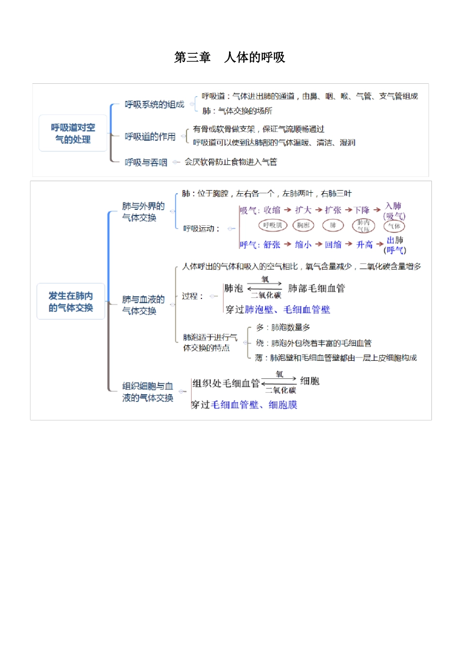 人教版七年级生物下册考点思维导图版_第3页