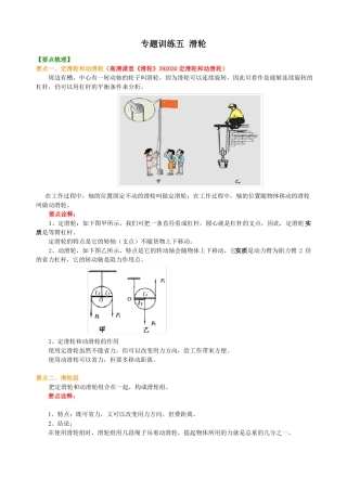 人教版中考物理专题复习滑轮