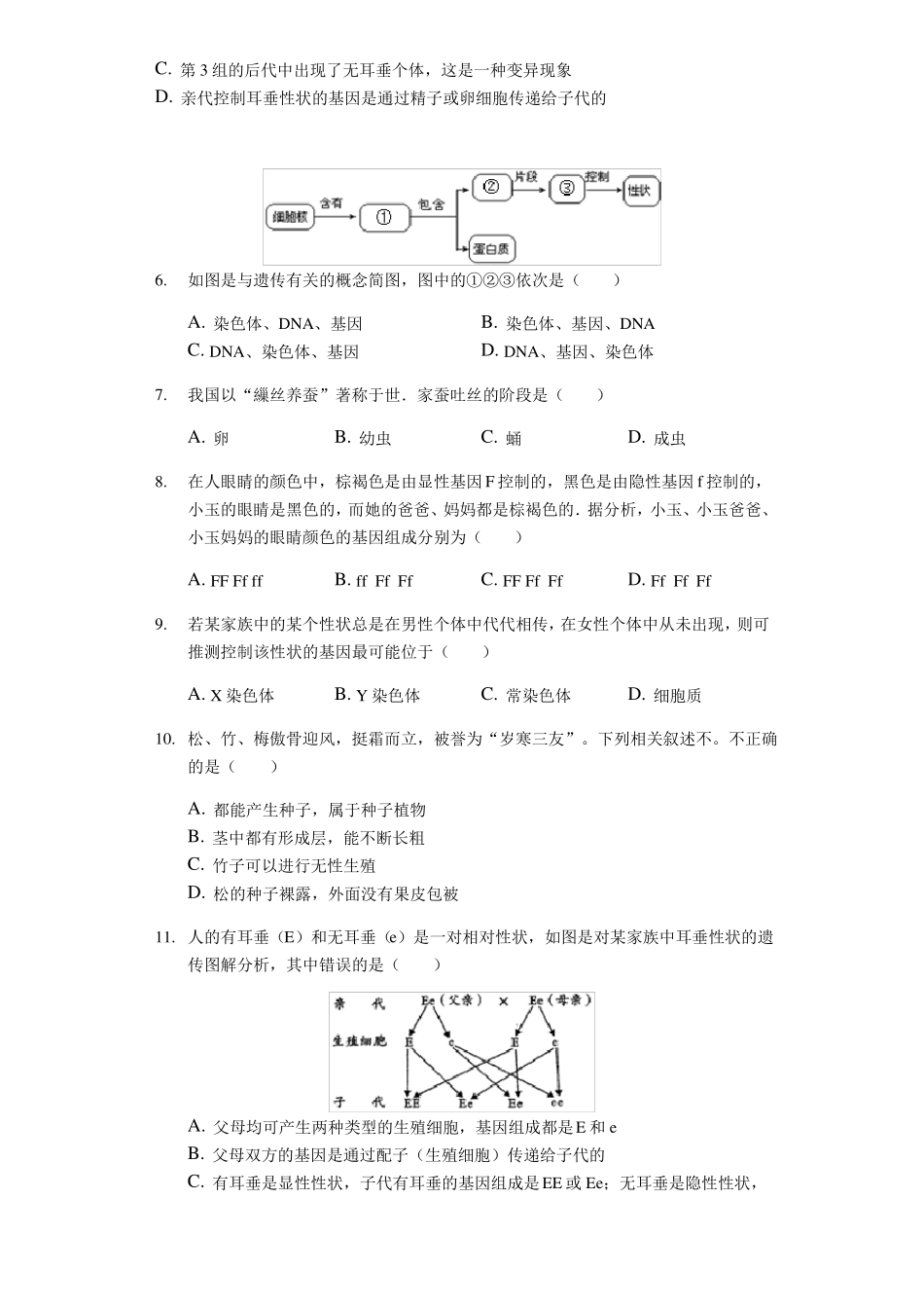 人教版八年级生物下册复习检测试卷含答案_第2页
