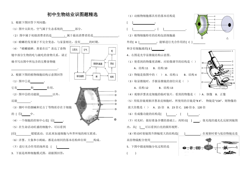 人教版初中生物识图专题整理版_第1页