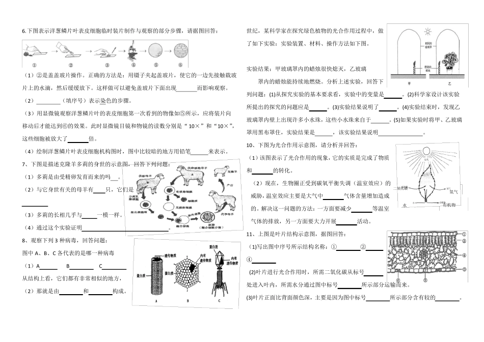 人教版初中生物识图专题整理版_第2页