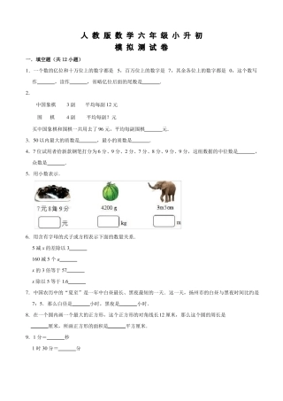 人教版小升初数学模拟卷及答案