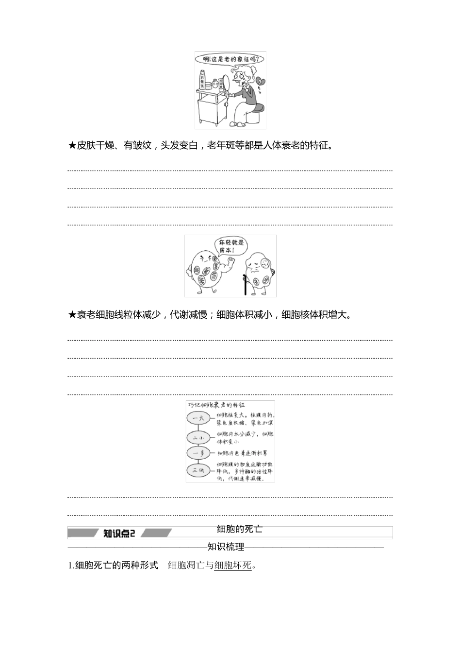 人教版必修一细胞的衰老和死亡教案_第3页