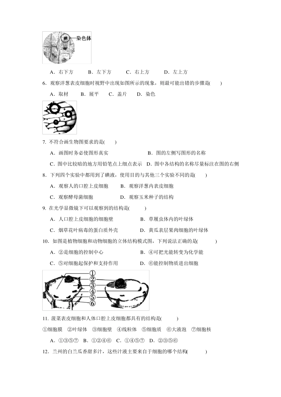 人教版生物七年级上册生物体的结构层次细胞是生命活动的基本单位同步测试含答案_第2页