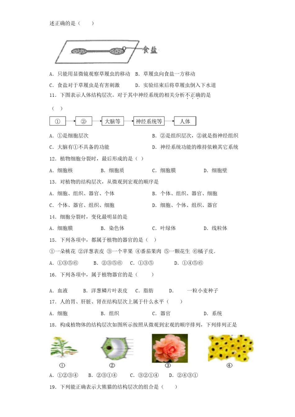 人教版生物七年级上细胞怎样构成生物体测试题含答案_第2页