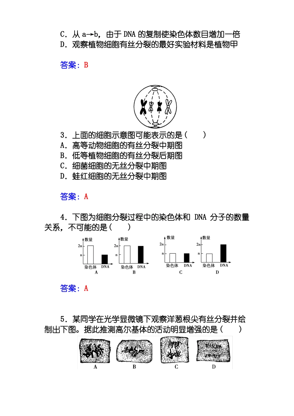 人教版生物必修一：1细胞周期和有丝分裂过程练习及答案_第2页