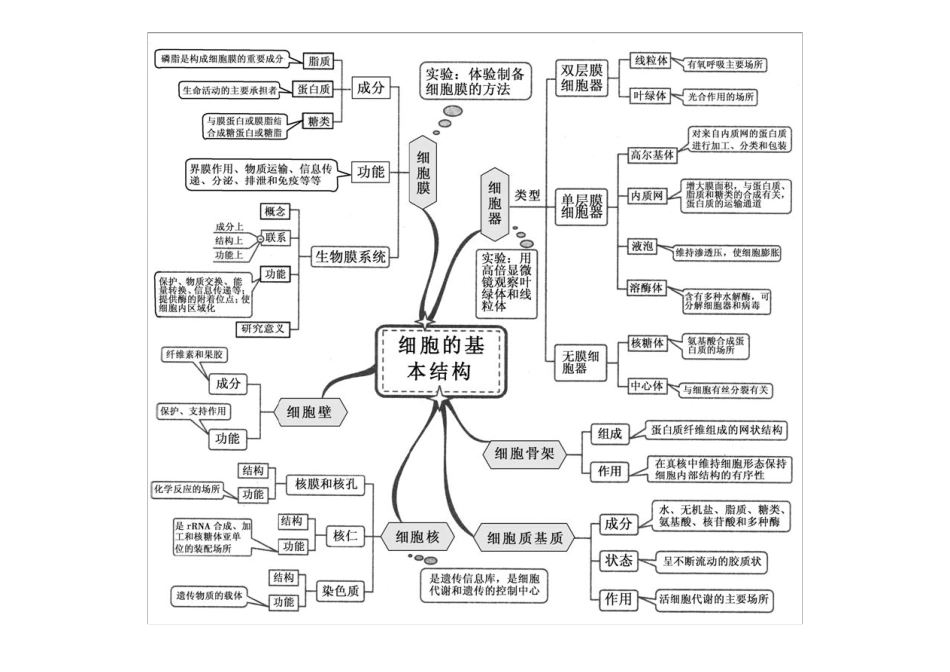 人教版高中生物全套思维导图_第2页