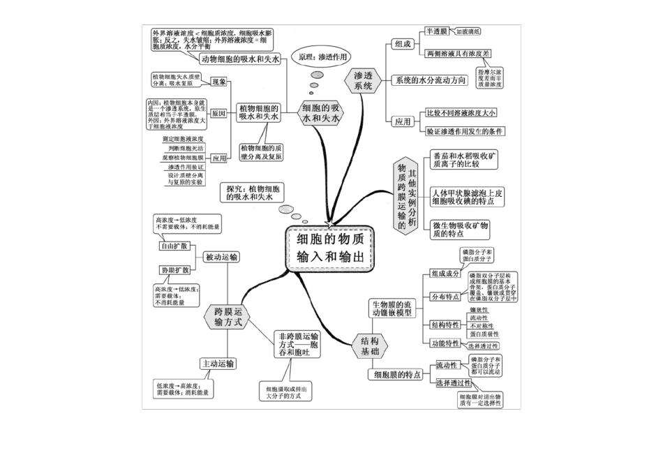 人教版高中生物全套思维导图_第3页