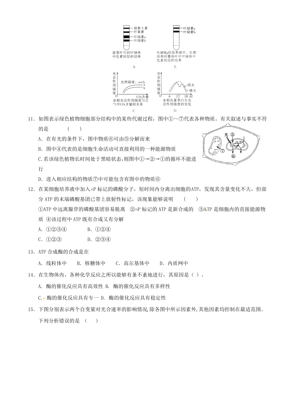人教版高中生物细胞的能量供应和利用单元测试题及答案_第3页