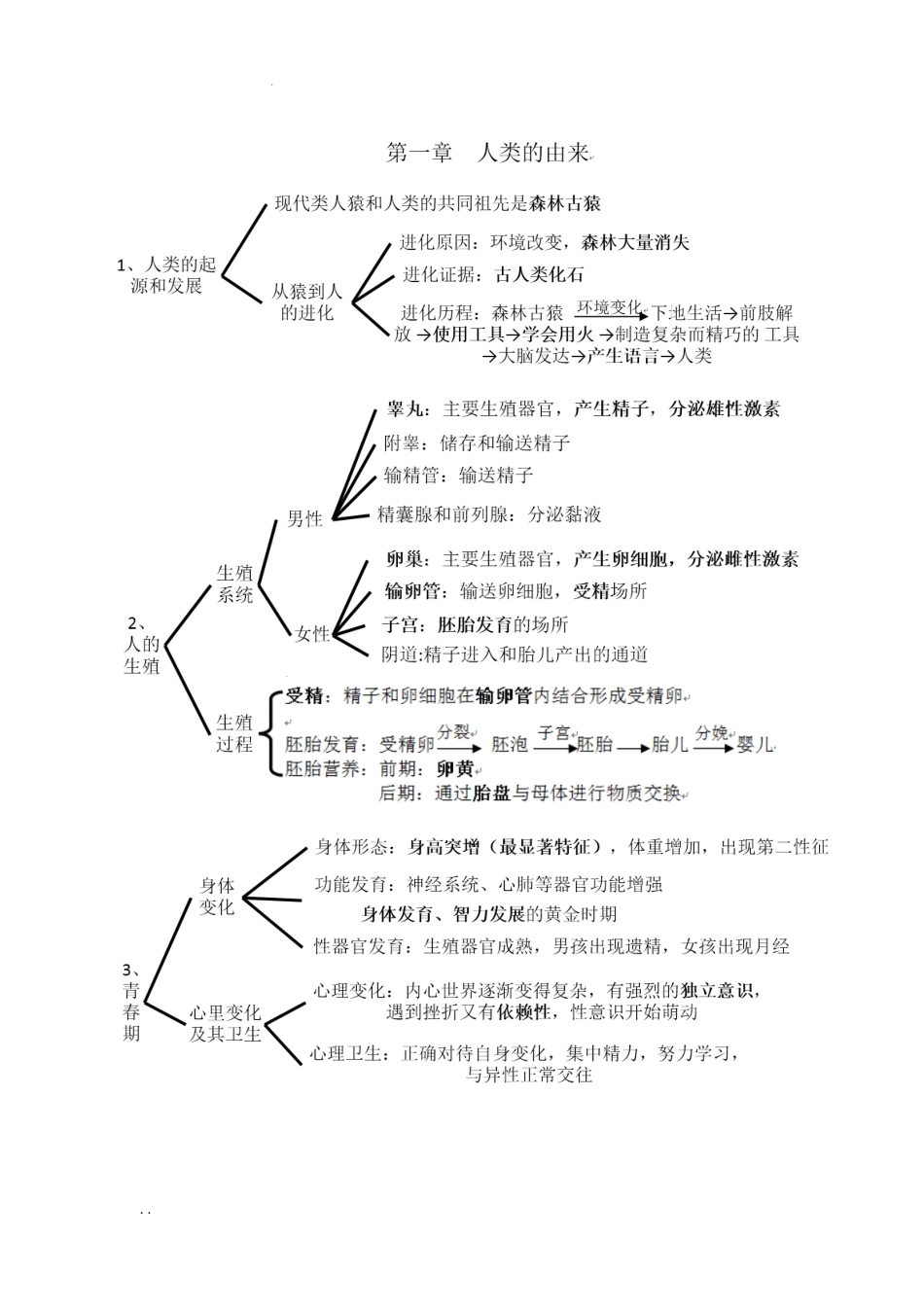 人版七年级生物下册考点思维导图版_第1页