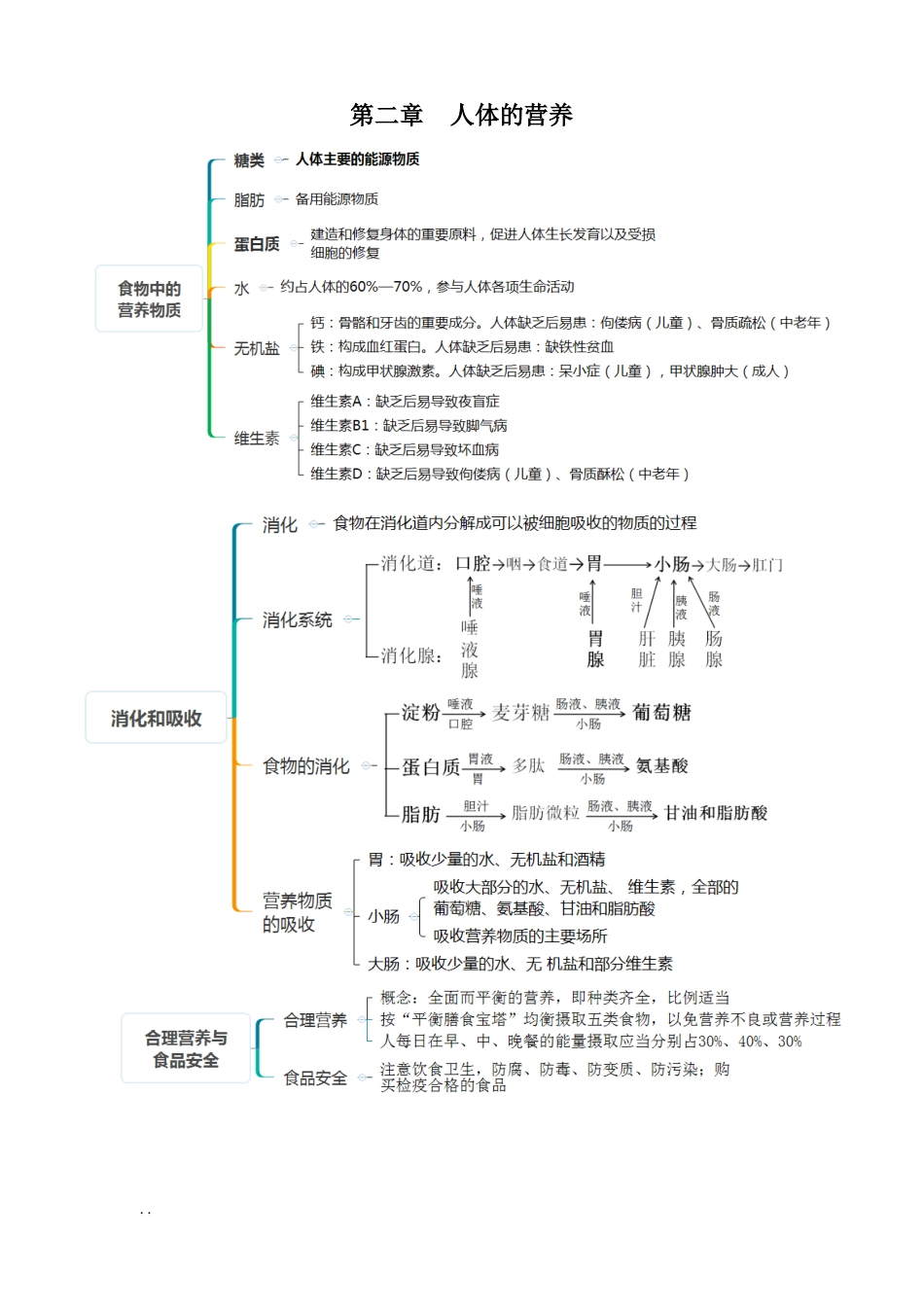 人版七年级生物下册考点思维导图版_第2页