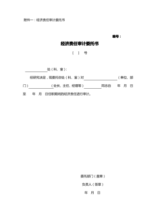 任期经济责任的审计工作底稿模板