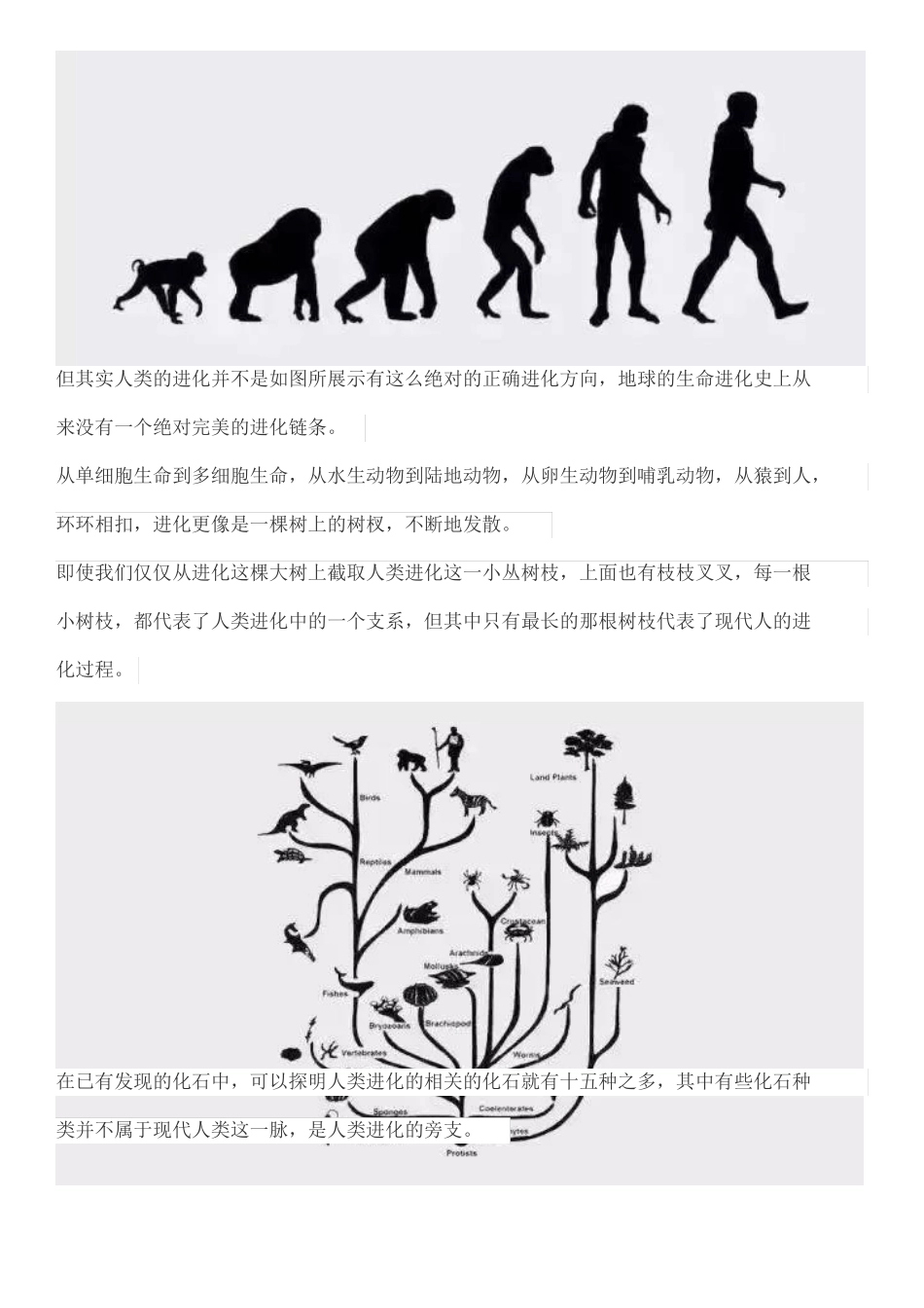 任正非：为什么方向只能大致正确,而组织必须充满活力？_第2页