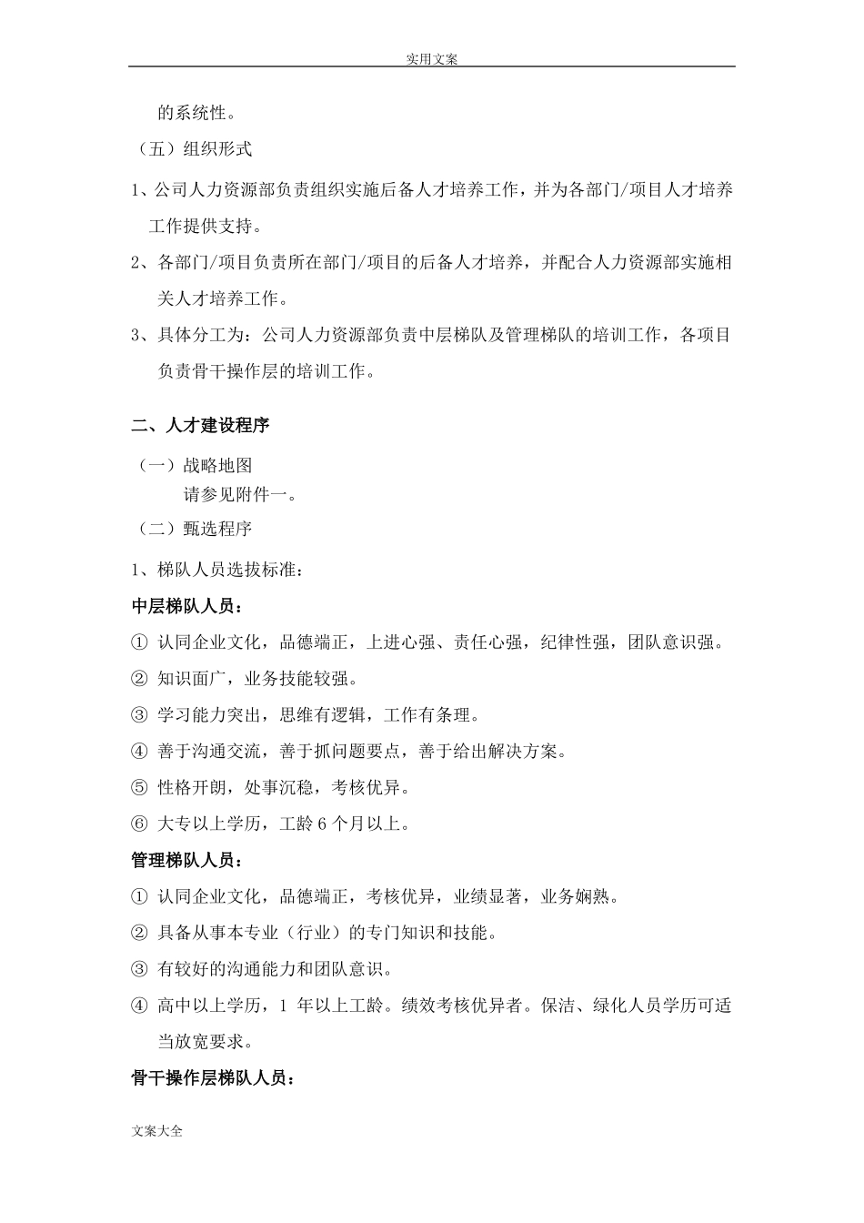 企业人才建设方案设计_第2页