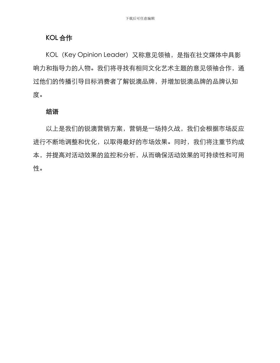 锐澳营销方案_第3页