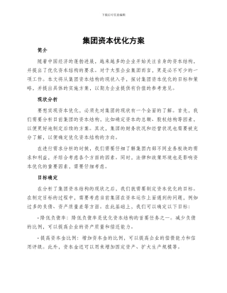 集团资本优化方案