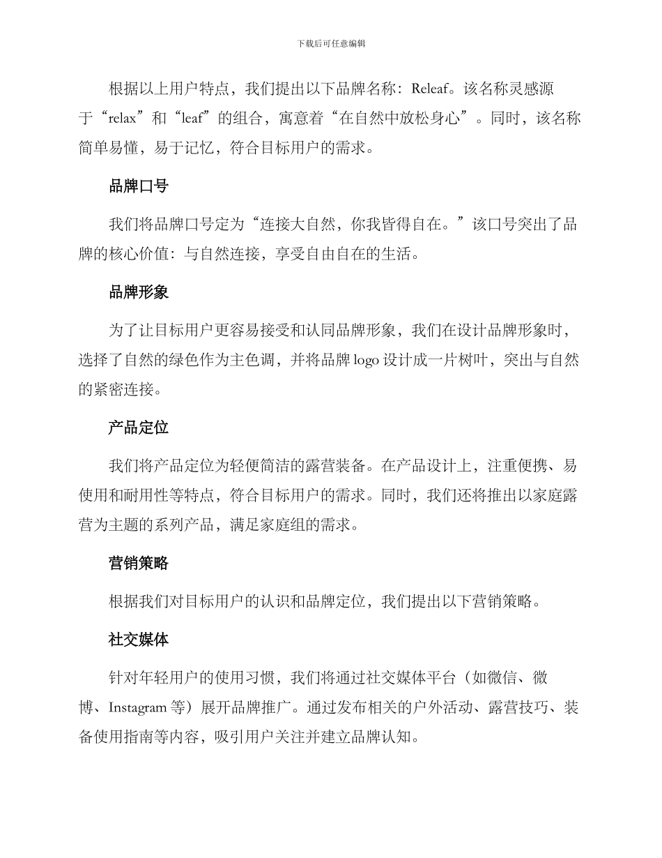 露营品牌定位策划方案_第2页