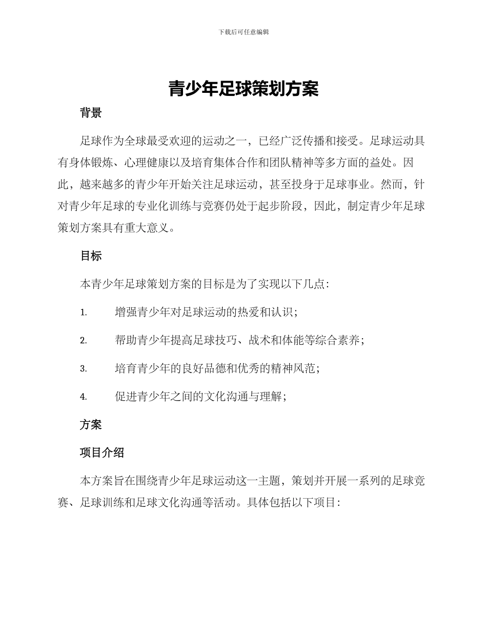 青少年足球策划方案_第1页