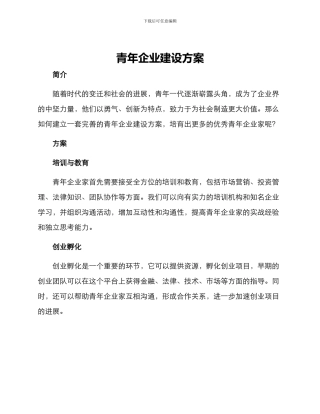 青年企业建设方案