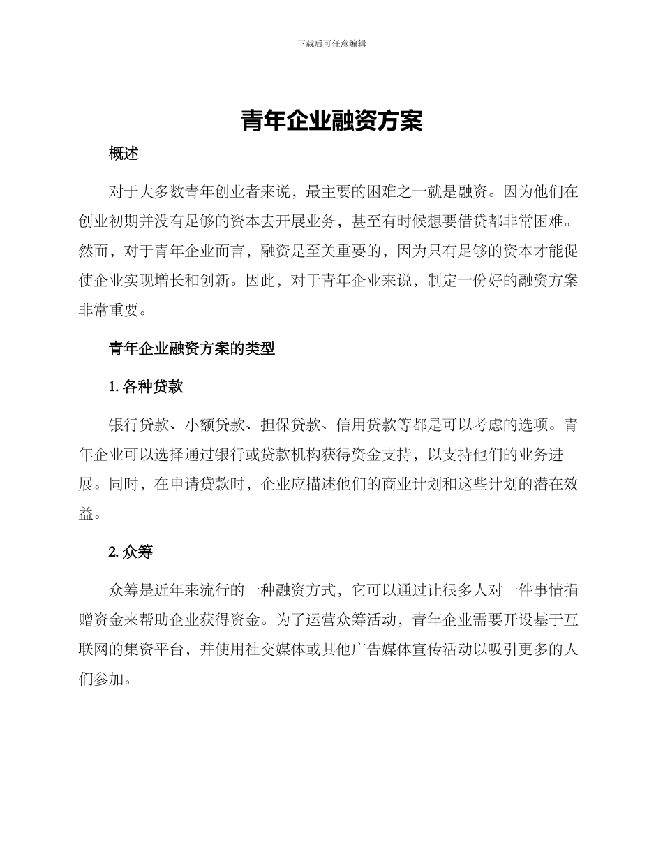青年企业融资方案_第1页