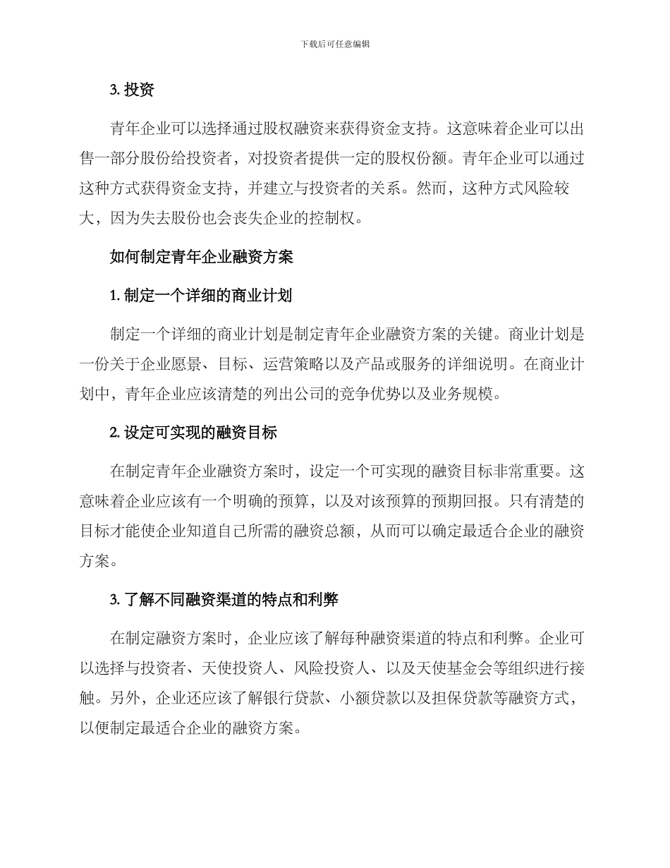 青年企业融资方案_第2页