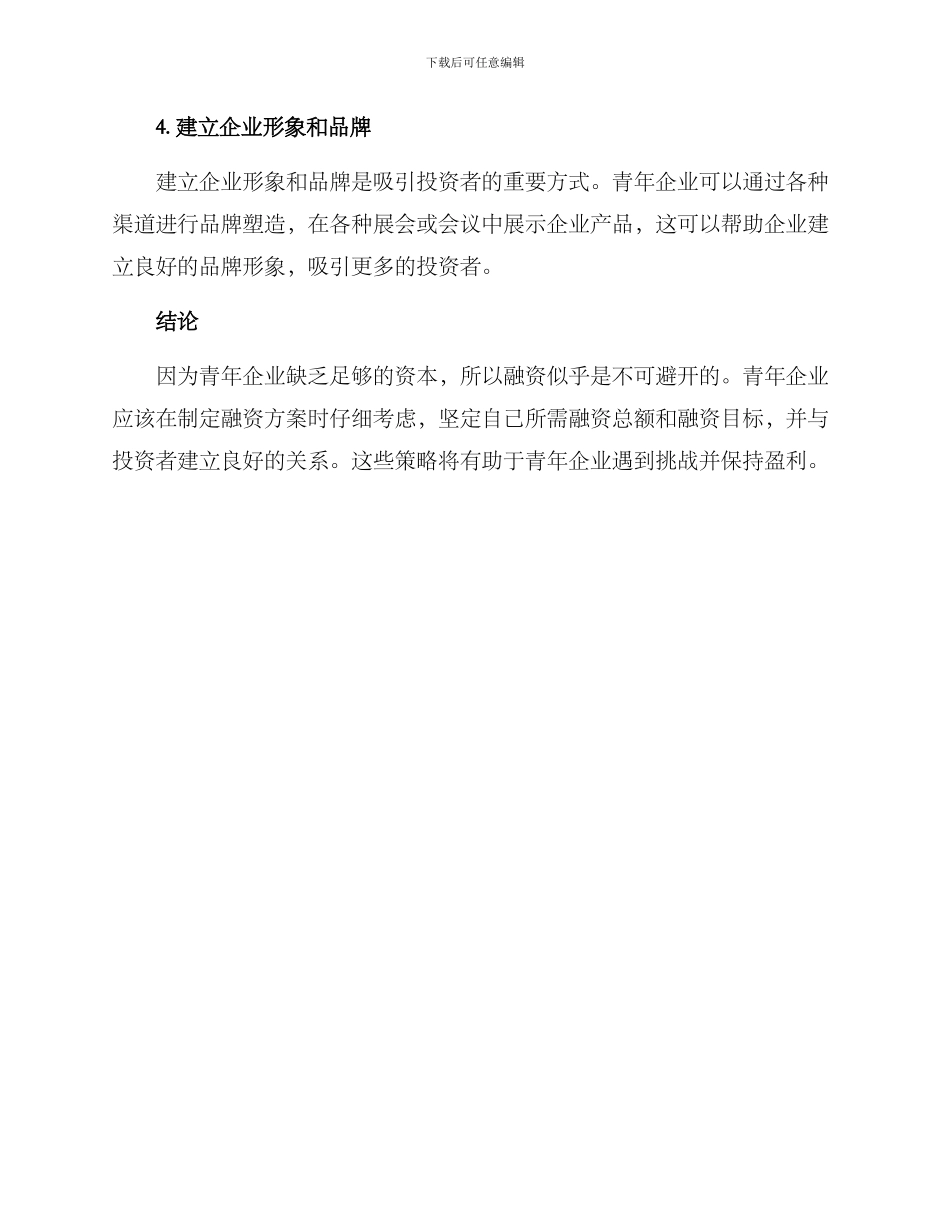 青年企业融资方案_第3页