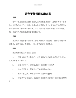 青年干部管理实施方案