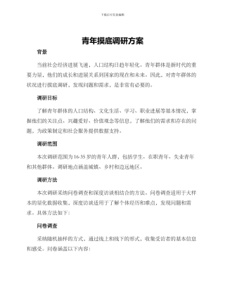 青年摸底调研方案