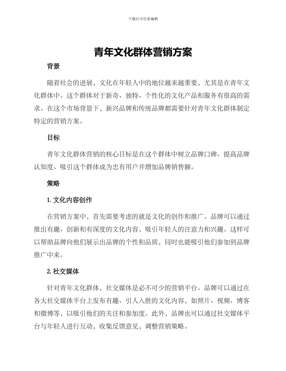 青年文化群体营销方案_第1页