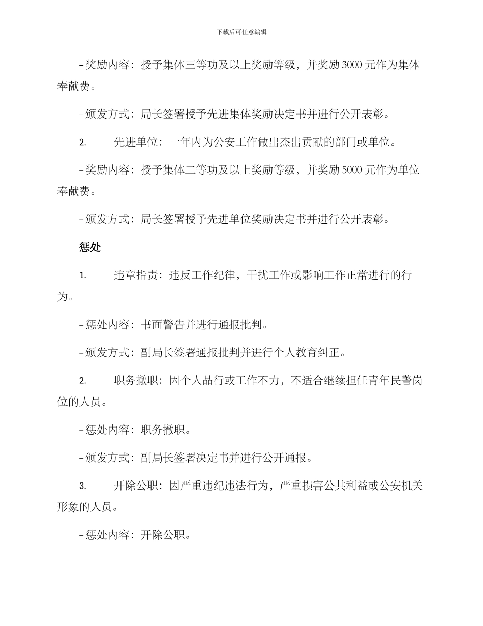 青年民警奖惩方案_第3页