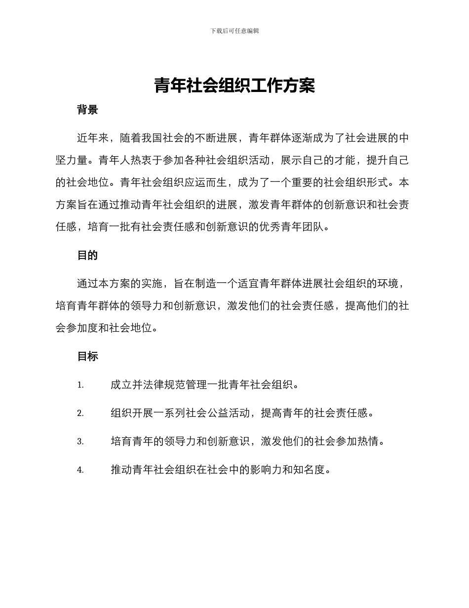 青年社会组织工作方案_第1页