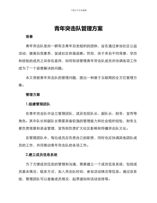 青年突击队管理方案