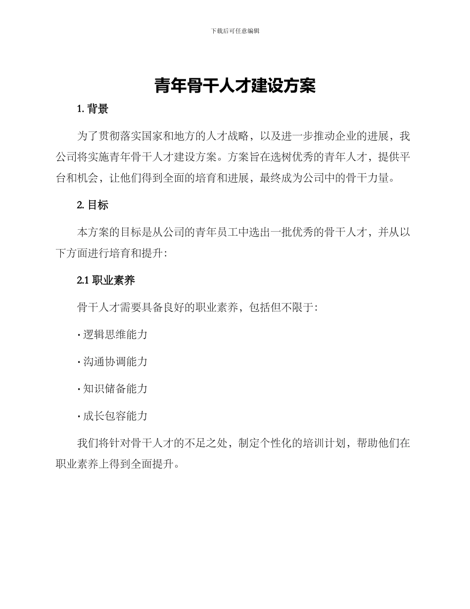 青年骨干人才建设方案_第1页