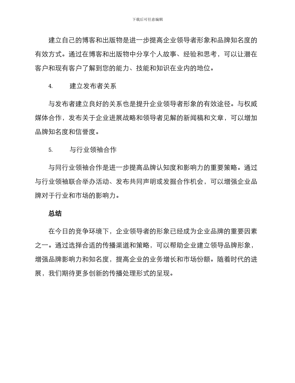 领导品牌传播方案_第2页