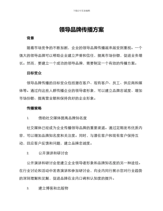 领导品牌传播方案