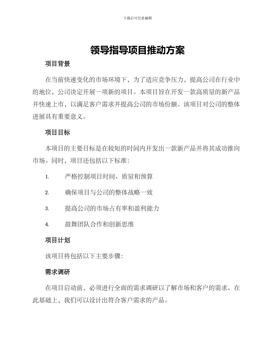 领导指导项目推进方案_第1页