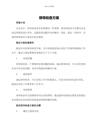 领导检查方案