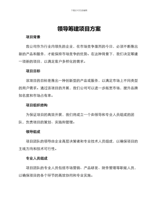 领导筹建项目方案