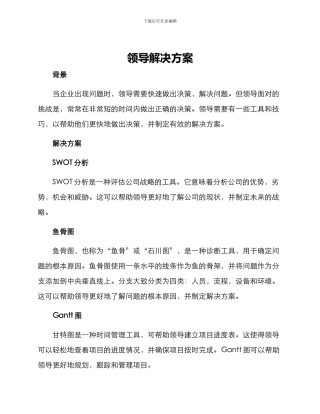 领导解决方案