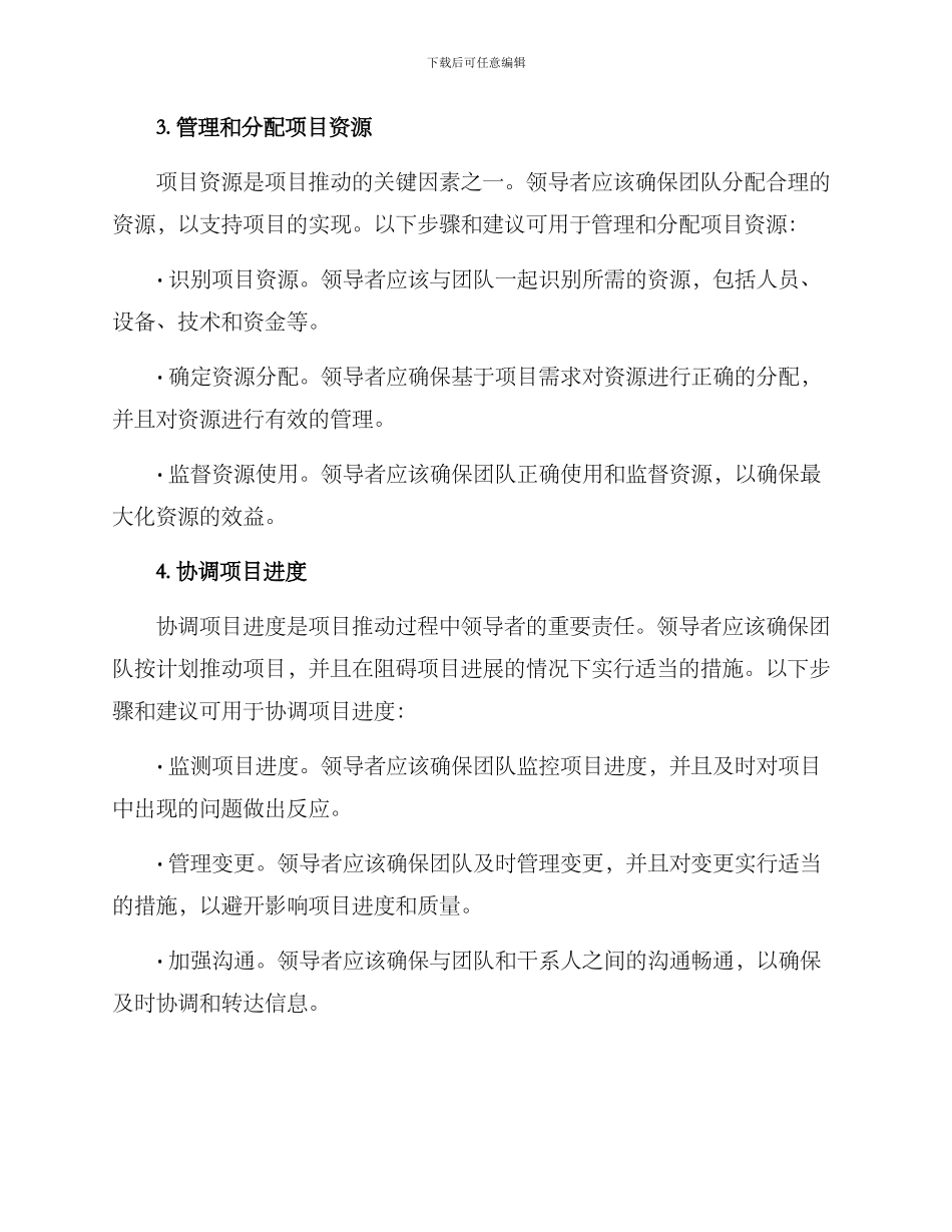 领导项目推进方案_第3页
