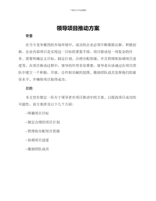领导项目推进方案